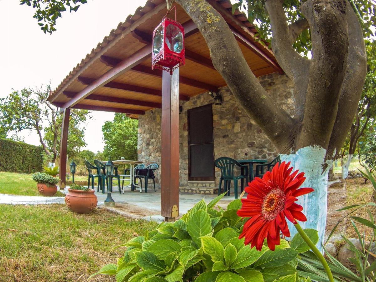 Patras Stonehouse With Large Yard - Πέτρινο Σπίτι Με Αυλή Villa Paralia  Exterior photo